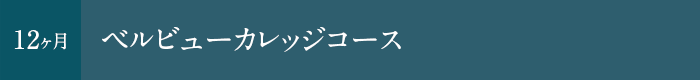 ベルビューカレッジコース。