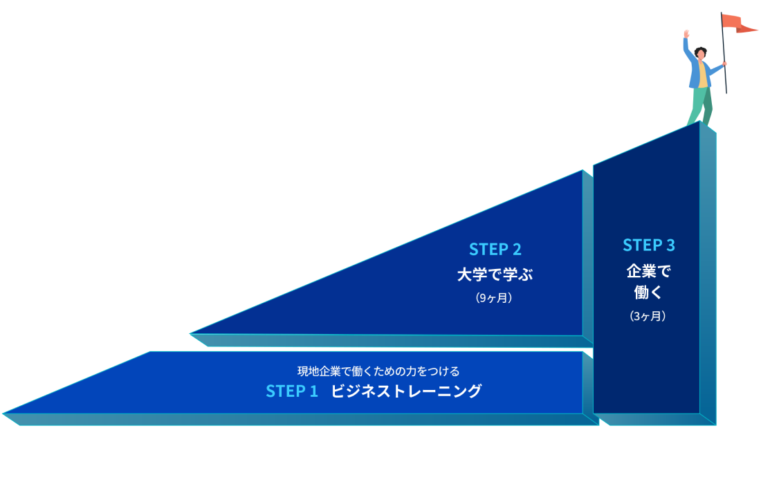 IBPプログラム