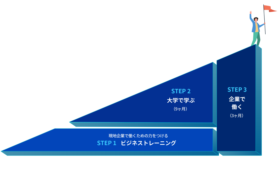 IBPプログラム